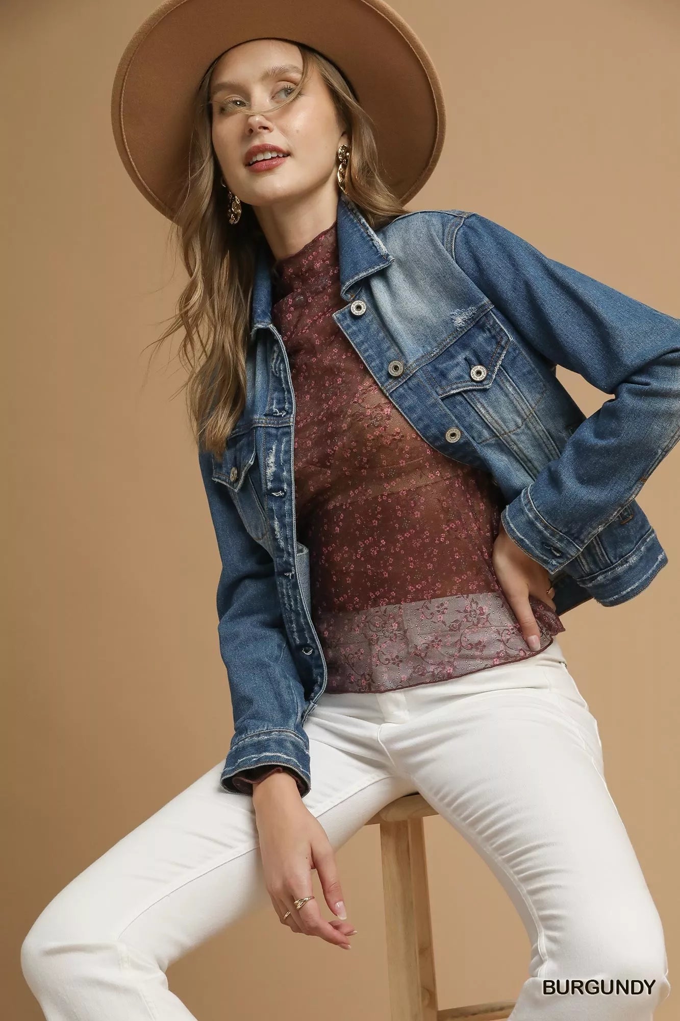 Vintage Roses Lace Mesh Long Sleeve Top